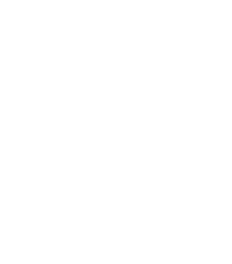 Aladdin Shipping INC